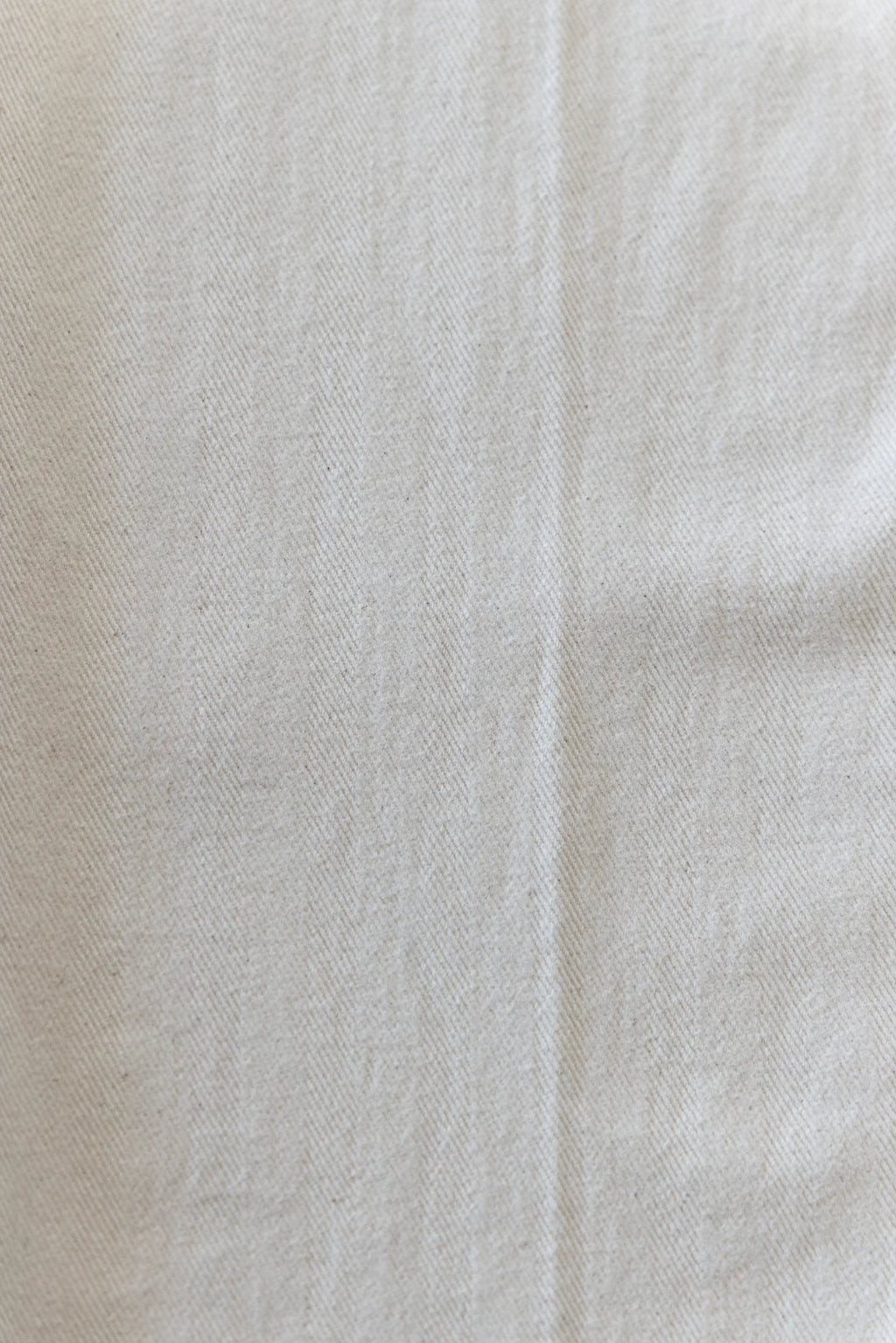 Ottway | Ben Roy Carpenter Baggy Pleated Pants in Oat