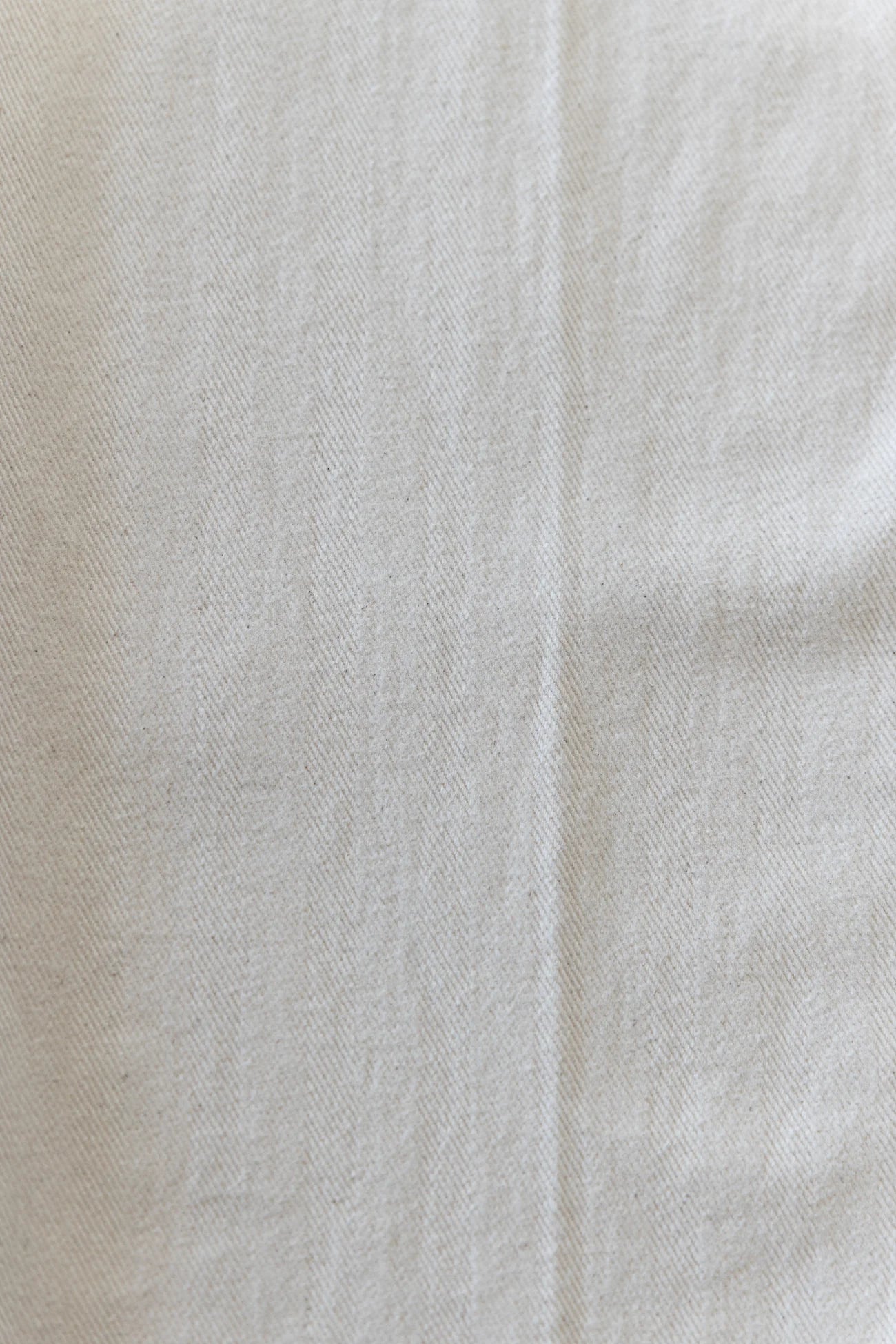 Ottway | Ben Roy Carpenter Baggy Pleated Pants in Oat